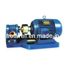 2CY Stainless Steel Marine Gear Oil Pump